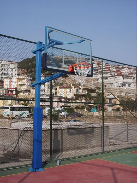 Villa Model Basketbol Potaları - Görsel 1