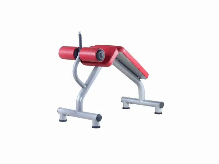 Fitness - Görsel 4