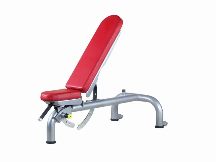 Fitness - Görsel 3
